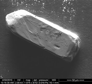 Elektronmikrogrāfijas skenējošā elektronu mikroskopā (no Latvijas Zinātnes padomes piešķirto grantu projektu darbiem 1999-2003):  cirkona kristāls (apt. 0,2 mm garš) no devona perioda nogulumiem. Foto: LUM krājums